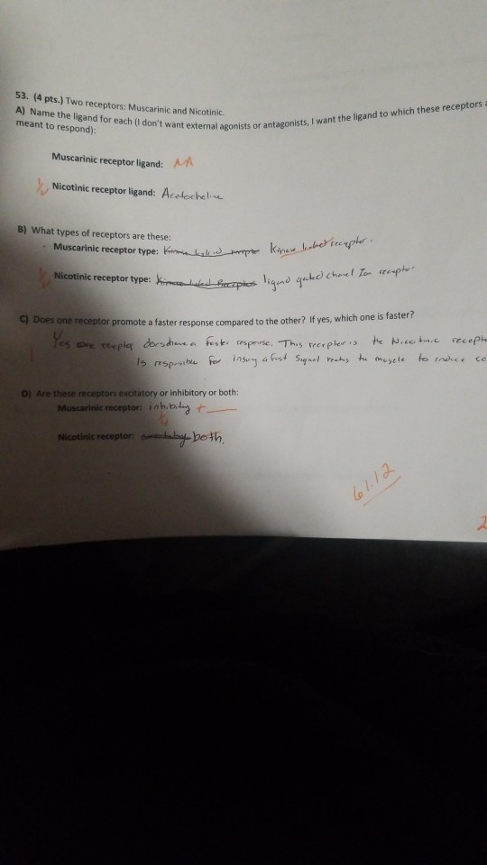 53. (4 pts.) Two receptors: Muscarinic and Nicotinic. A) Name the ligand for each (I dont want external ago meant to respond
