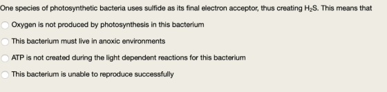 One species of photosynthetic bacteria uses sulfide as its final electron acceptor, thus creating H2S. This means that Oxygen