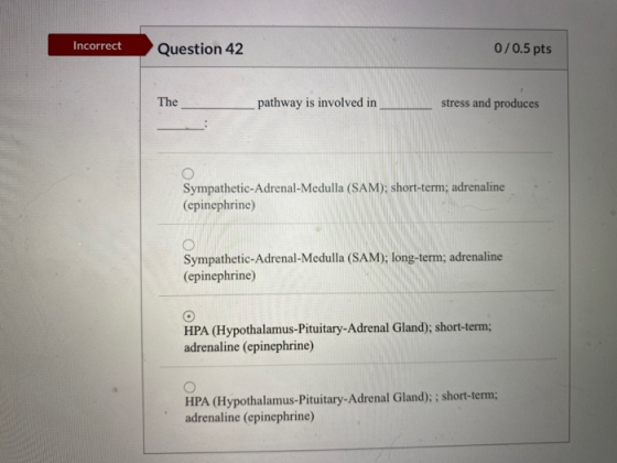 Incorrect Question 42 0/0.5 pts The pathway is involved in stress and produces Sympathetic-Adrenal-Medulla (SAM); short-term;