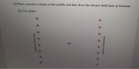 a positive charge in the middle and then draw the electric field lines in between the two plates.