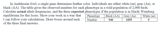 In Andalusian fowl, a single gene determines feather color. Individuals are either white (aa), gray (Aa), or black (AA). The table gives the observed numbers for each phenotype in a wild population of 2,000 birds. Calculate actual allele frequencies, and the three expected phenotypes if the population is in Hardy Weinberg equilibrium for this locus. Show your work in a way that Phenotype Black (AA) Gray (Aa) White (aa) I can follow your calculations. Draw boxes around each Number 940 of the three final answers. 1055