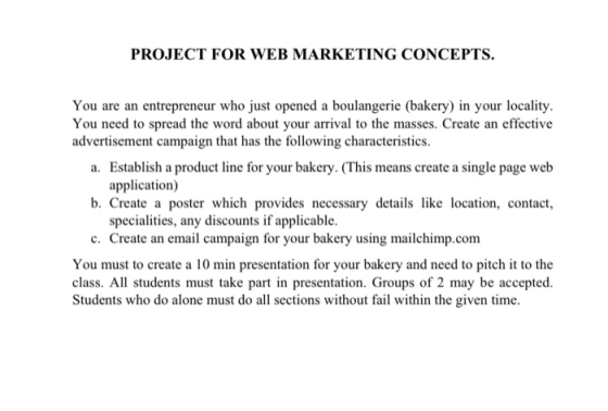 PROJECT FOR WEB MARKETING CONCEPTS. You are an entrepreneur who just opened a boulangerie (bakery) in your locality. You need