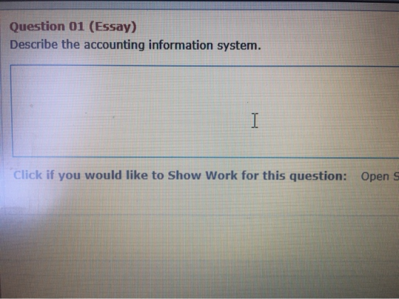 Question 01 (Essay) Describe the accounting information system. 1 Click if you would like to Show Work for this question: Ope