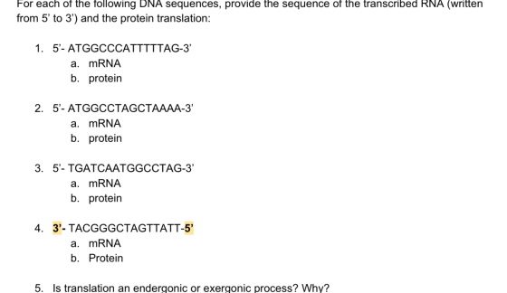 For each of the following DNA sequences, provide the sequence of the transcribed RNA (written from 5 to 3) and the protein