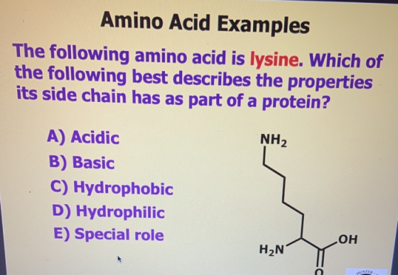 Amino Acid Examples The following amino acid is lysine. Which of the following best describes the properties its side chain h