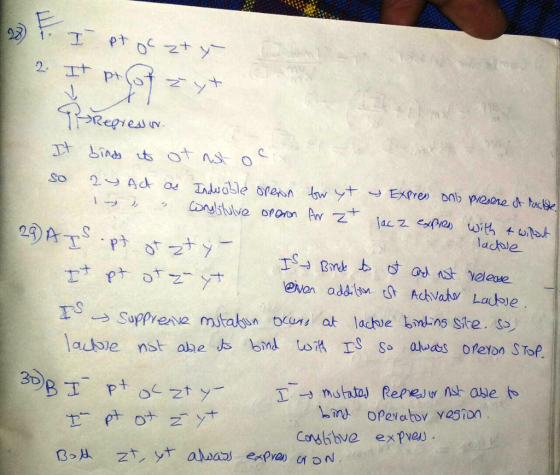 23). I pt oC zty 2. It prof zyt Hi a n Prepressive It binds it of not oC so 24 Ach as Indröble spenn bw yt 1 y Expres cwnglit