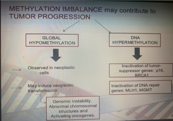 METHYLATION IMBALANCE may contribute to TUMOR PROGRESSION GLOBAL HYPOMETHYLATION DNA HYPERMETHYLATION Observed in neoplastic
