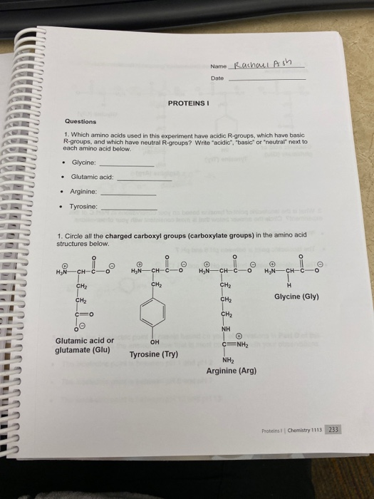 Name_Rachel A Date TITILLEELELE PROTEINSI Questions 1. Which amino acids used in this experiment have acidic R-groups, which