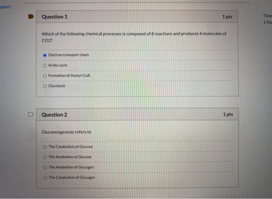 pport Question 1 1 pts Time 1 Ho Which of the following chemical processes is composed of 8 reactions and produces 4 molecule
