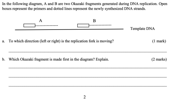In the following diagram, A and B are two Okazaki fragments generated during DNA replication. Open boxes represent the primer