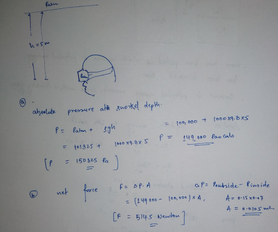Patn n=sm absolute pressure att snorkel depth = 100,000 + 1000x9.6x5 P = fatm + 5gh = 149,000 has cals = 101325 + 1600x9. Bx