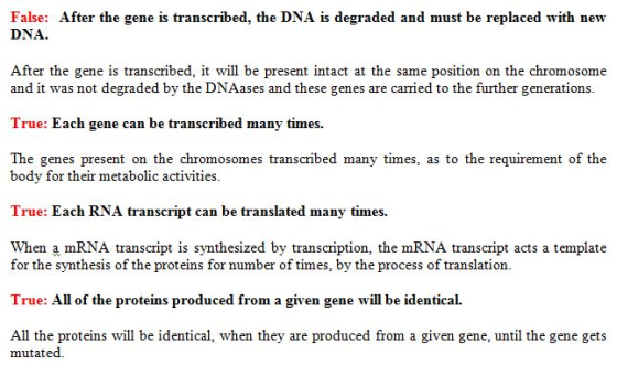 False: After the gene is transcribed, the DNA is degraded and must be replaced with new DNA After the gene is transcribed, it
