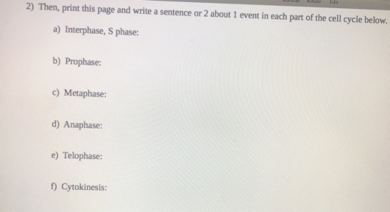 2) Then, print this page and write a sentence or 2 about 1 event in each part of the cell cycle below. a) Interphase, S phase