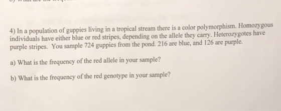 4) In a population of guppies living in a stream there is a color polymorphism. Homozygous tropical individuals have either blue or red stripes, depending on the allele they carry. Heterozygotes have sample 724 guppies from the pond. blue, and 126 are purple. purple stripes. You a) What is the frequency of the red allele in your sample? b) What is the frequency of the red genotype in your sample?