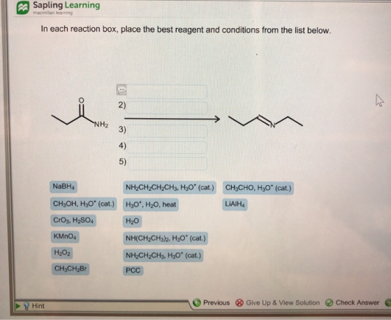 Sapling Learning In each reaction box, place the best reagent and conditions from the list below. NH2 NaBH4 CH3CHO, H30* (cat