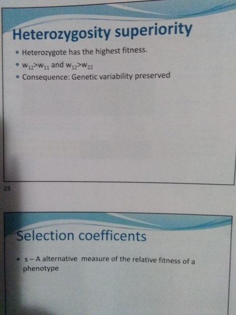 Heterozygosity superiority • Heterozygote has the highest fitness. • W.2>W11 and 12>W22 . Consequence: Genetic variability pr
