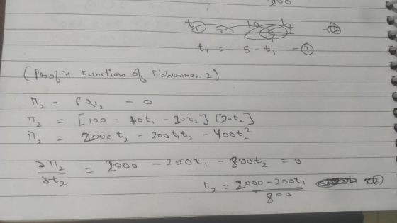 (prof it Function of Fisherman 2) T = pou no T₂ = [10o - hot, - 20t₂] [2002] 2 = 22000 t, - 200t, t₂ - Yoot? 2 - 2000 - 200t,