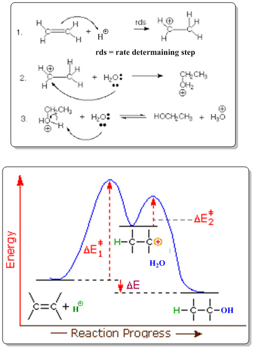 rds-rate determaining step Hi CH3 2 CHa 3H0- ΔΕ H,O ΔΕ -C-C-OH Reaction Progress