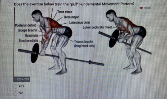 Does the exercise below train the pull Fundamental Movement Pattern? Teres minor Teres major - Latissimus dors Lower pector