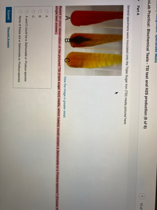 1. specialized Media oLab Practical: Biochemical Tests - TSI test and H2S production (6 of 6) 15 of Part A Several specimens