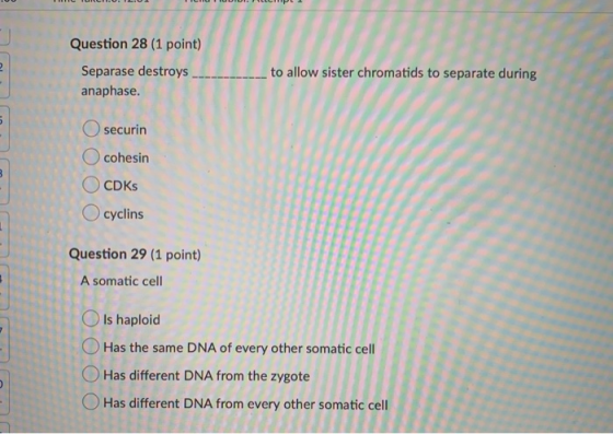 Question 28 (1 point) 10 to allow sister chromatids to separate during Separase destroys anaphase. UI O securin O cohesin CDK