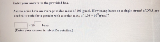 Enter your answer in the provided box. Amino acids have an average molar mass of 100 g/mol. How many bases on a single strand