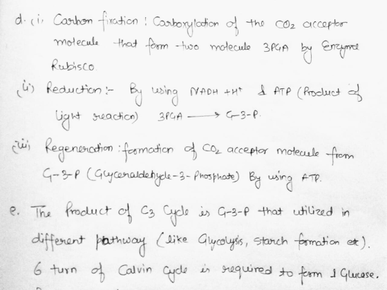 ( do ci Carbon fixation : Carboxylation of the CO2 accepter molecule that from two molecule 3PGA by Enzyme Rubisco i) Reducti