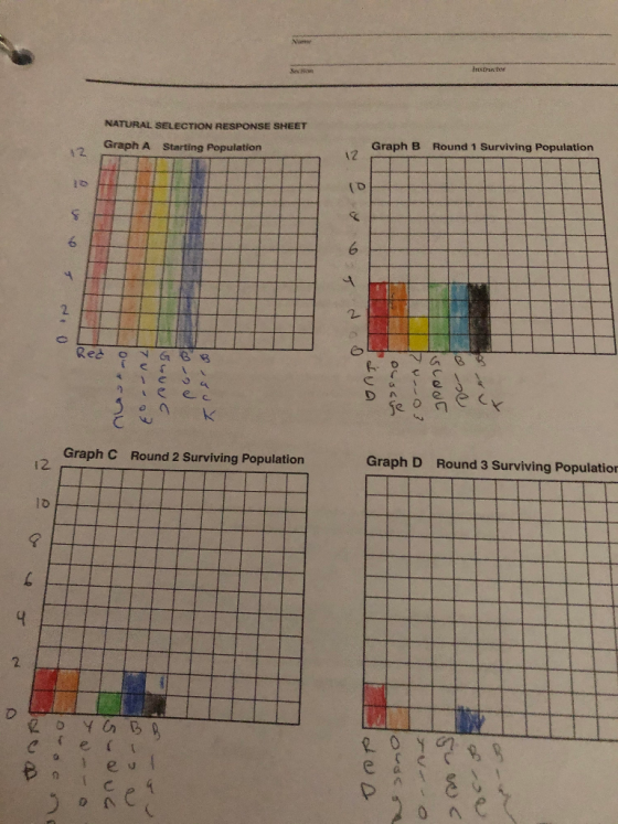 Prestrate NATURAL SELECTION RESPONSE SHEET 12 Graph A Starting Population Graph B Round 1 Surviving Population 12 0 6 6 4 2 2