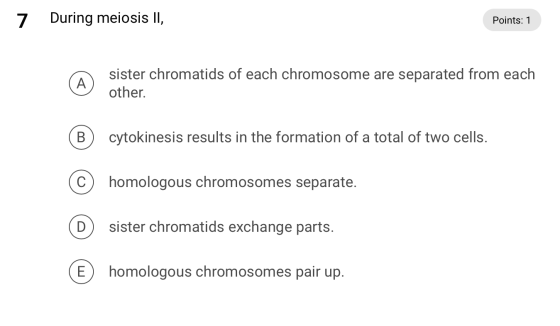 7. During meiosis II, Points: 1 @ sister, chrom sister chromatids of each chromosome are separated from each other. cytokines