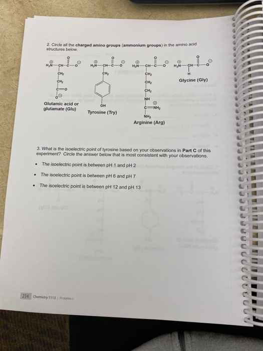 2. Circle all the charged amino groups (ammonium groups) in structures below amino acid - O HN-CH-CO HAN CH CO HN- CM CH Glyc