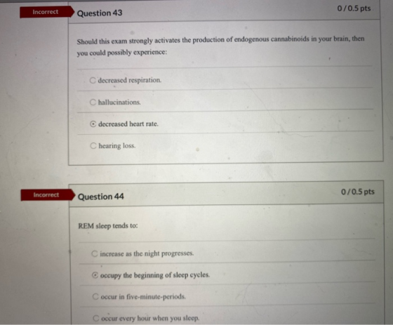 0/0.5 pts Incorrect Question 43 Should this exam strongly activates the production of endogenous cannabinoids in your brain,