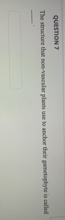 QUESTION 7 The structure that non-vascular plants use to anchor their gametophyte is called