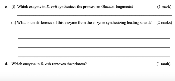 c. (i) Which enzyme in E. coli synthesizes the primers on Okazaki fragments ? (1 mark) (ii) What is the difference of this en