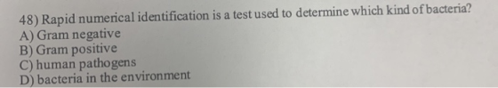 48) Rapid numerical identification is a test used to determine which kind of bacteria? A) Gram negative B) Gram positive C) h