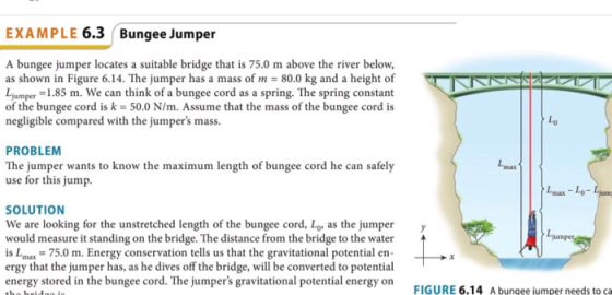 EXAMPLE 6.3 Bungee Jumper A bungee jumper locates a suitable bridge that is 75.0 m above the river below, as shown in Figure 6.14. The jumper has a mass of m-80.0 kg and a height of Ljumper 1.85 m, we can think of a bungee cord as a spring. The spring constant of the bungee cord is k-50.0 N/m. Assume that the mass of the bungee cord is negligible compared with the jumpers mass Lo PROBLENM The jumper wants to know the maximum length of bungee cord he can safely use for this jump. Lmax-Lo SOLUTION We are looking for the unstretched length of the bungee cord, Lo, as the jumper would measure it standing on the bridge. The distance from the bridge to the water is Lmax = 75.0 m. Energy conservation tells us that the gravitational potential en- ergy that the jumper has, as he dives off the bridge, will be converted to potential energy stored in the bungee cord. The jumpers gravitational potential energy on y FIGURE 6.14 A bungee jumper needs to ca