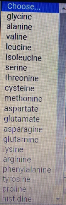 Choose... glycine alanine valine leucine isoleucine serine threonine cysteine methonine aspartate glutamate asparagine glutam