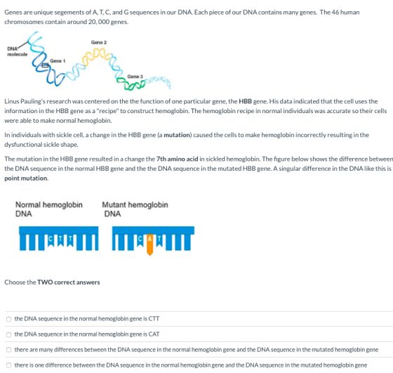 Genes are unique segements of A, T, C, and G sequences in our DNA. Each piece of our DNA contains many genes. The 46 human ch