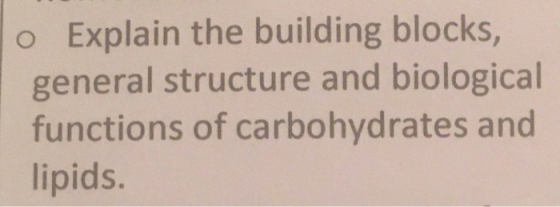O Explain the building blocks, general structure and biological functions of carbohydrates and lipids.
