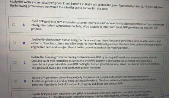 A scientist wishes to genetically engineer E. coli bacteria so that it will contain the green fluorescent protein (GFP) gene.