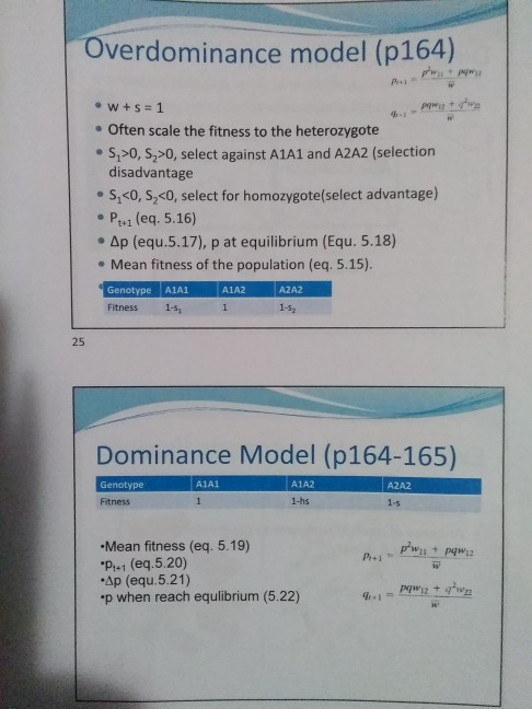 Overdominance model (p164) • W+s = 1 • Often scale the fitness to the heterozygote •S,>, S,>0, select against A1A1 and A2A2 (