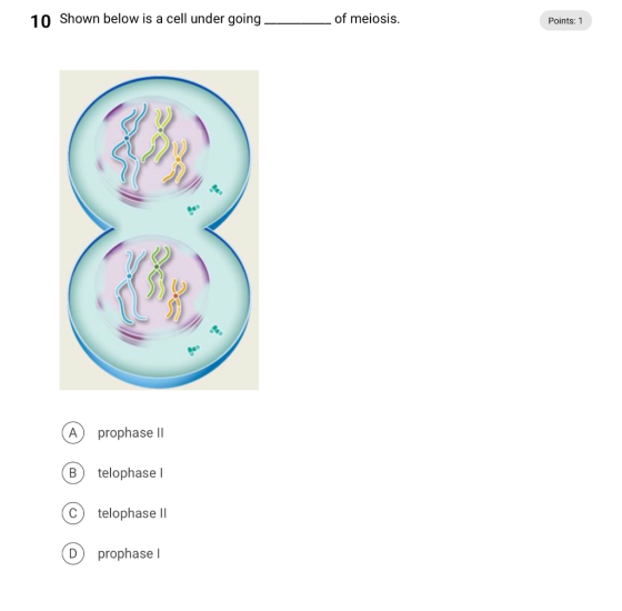 10 Shown below is a cell under going of meiosis. Points: 1 prophase II telophase telophase II prophase