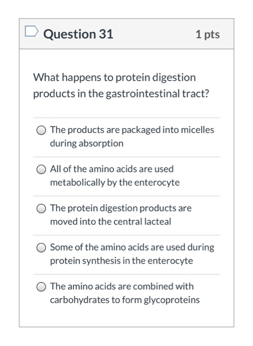 Question 31 1 pts What happens to protein digestion products in the gastrointestinal tract? The products are packaged into mi