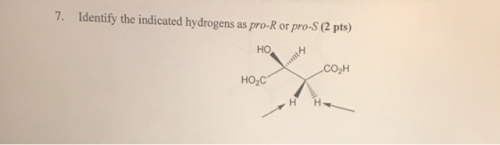 7. Identify the indicated hydrogens as pro-R or pro-S (2 pts) HOH -CO₂H HOC