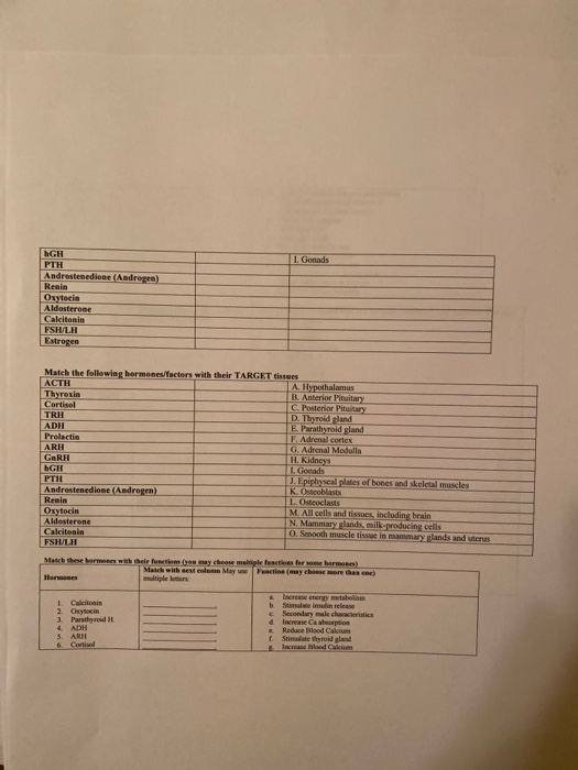 L. Gonads GH PTH Androstenedione (Androgen) Renin Oxytocin Aldosterone Calcitonin ESHLA Estrogen Match the following hormones