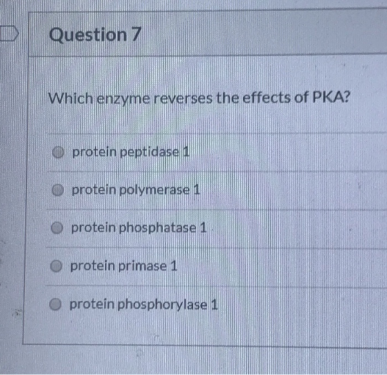 Question 7 Which enzyme reverses the effects of PKA? protein peptidase 1 protein polymerase 1 protein phosphatase 1 protein p
