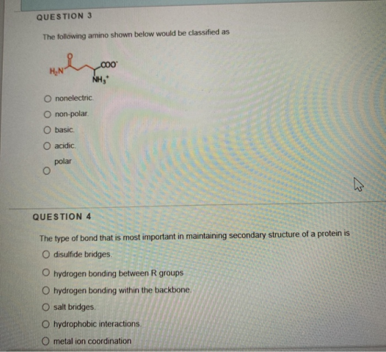 QUESTION 3 The following amino shown below would be classified as HN 000 NH, O nonelectric O non-polar. O basic O acidic. pol