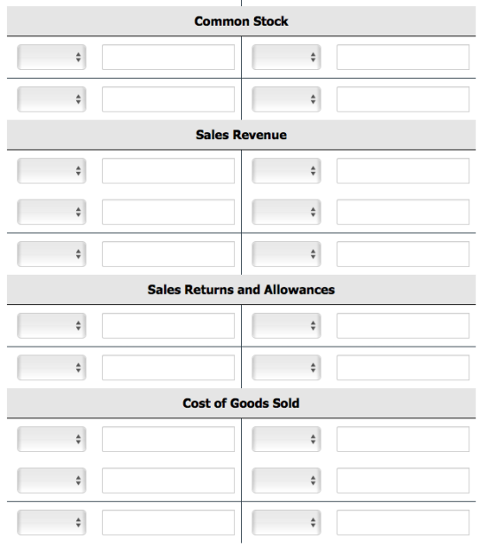 Common Stock Sales Revenue Sales Returns and Allowances Cost of Goods Sold