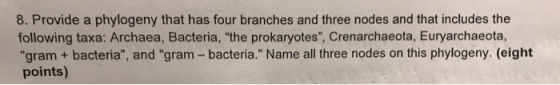 8. Provide a phylogeny that has four branches and three nodes and that includes the following taxa: Archaea, Bacteria, the p