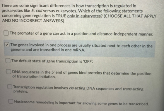 There are some significant differences in how transcription is regulated in prokaryotes like E. coli versus eukaryotes. Which