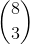 \binom{8}{3}